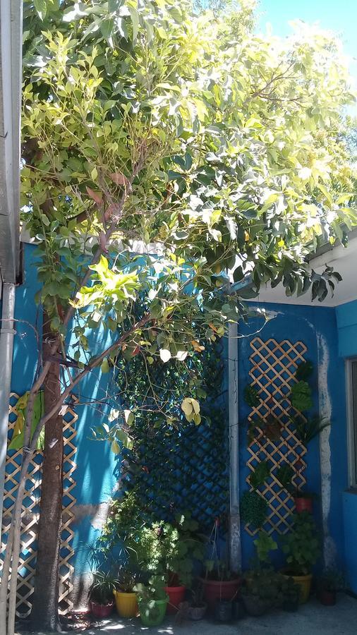 Hostal Casa Azul Talca  Dış mekan fotoğraf